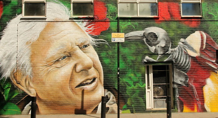 David Attenborough mural