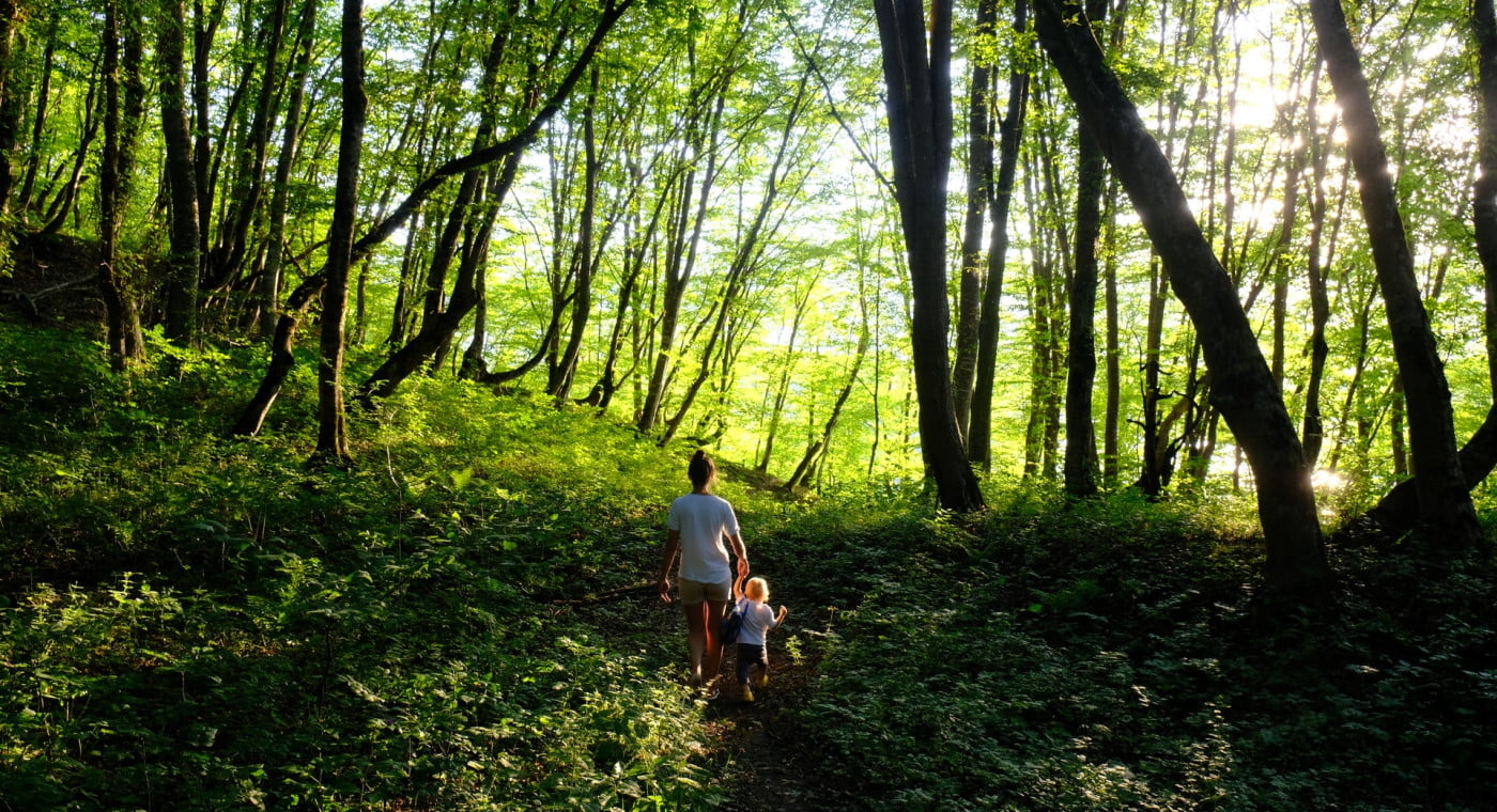 Man and child walking in forest