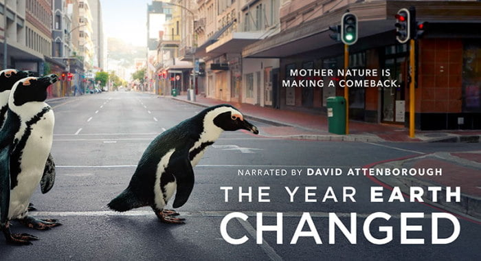 The Year Earth Changed - film poster with penguins