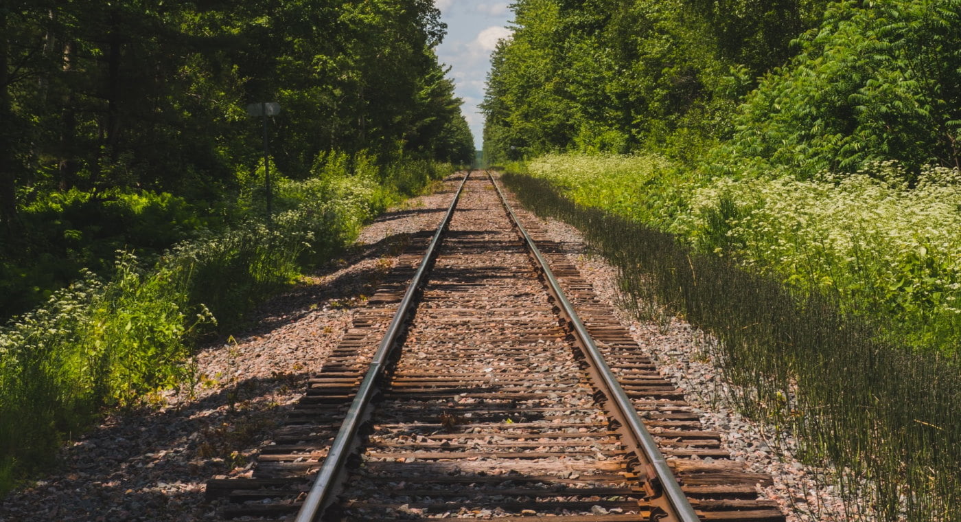 Train tracks between trees