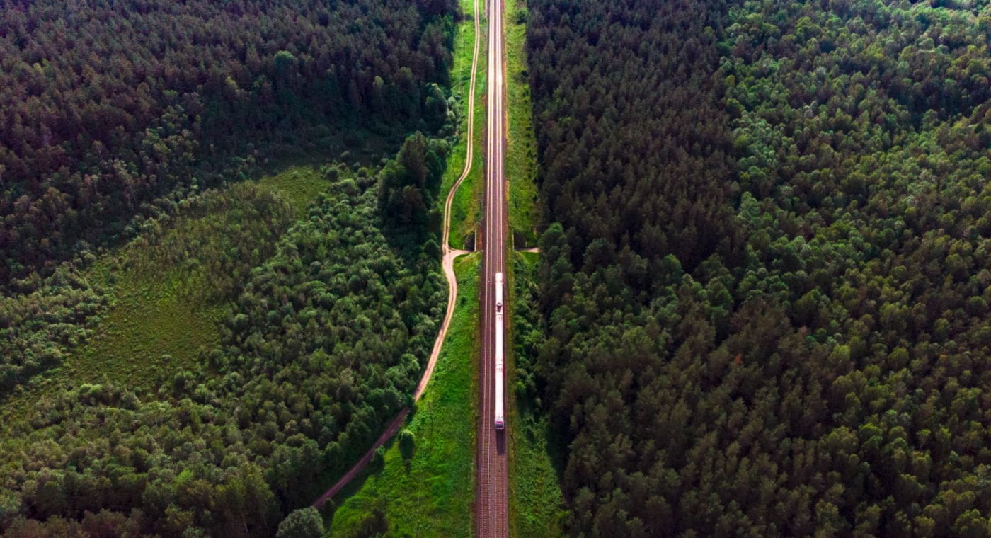 Train passing through forest