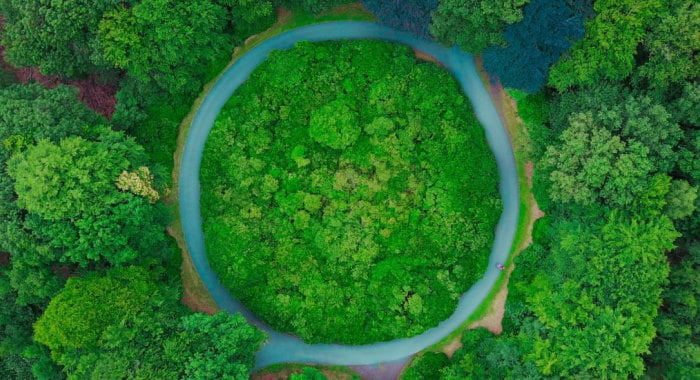 Circle in nature