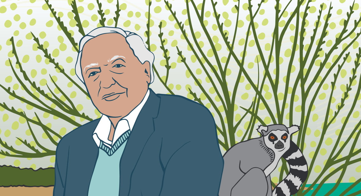 Portrait of David Attenborough
